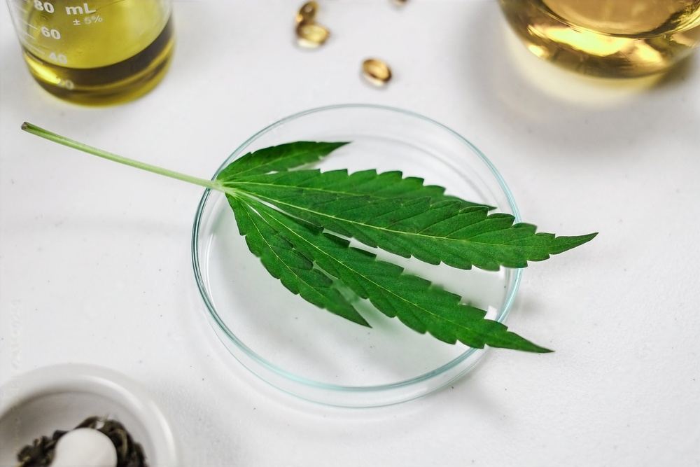 custom cannabis packaging